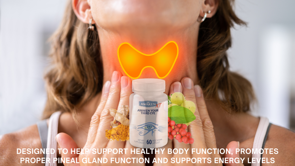 You are currently viewing Pineal XT