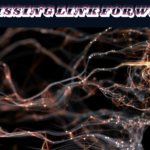 The Missing Link For Wealth